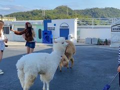 -Blue Concept Cafe&Farm·關於藍