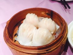 -楚灶王(徐东店)