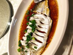 -金美华轩(东方路齐鲁店)