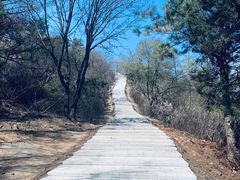 -樱桃山旅游景区