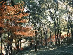 -九曜山