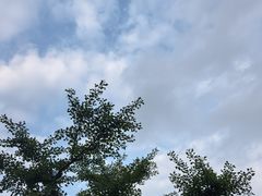 -上海圣淘沙万怡酒店