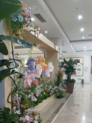 -禾丽康美医疗美容医院