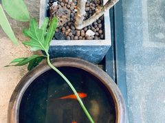 -囿面传统制面馆(中央路店)