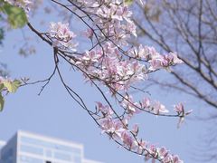 -深圳市人才园(深南大道店)