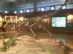 -自贡恐龙博物馆