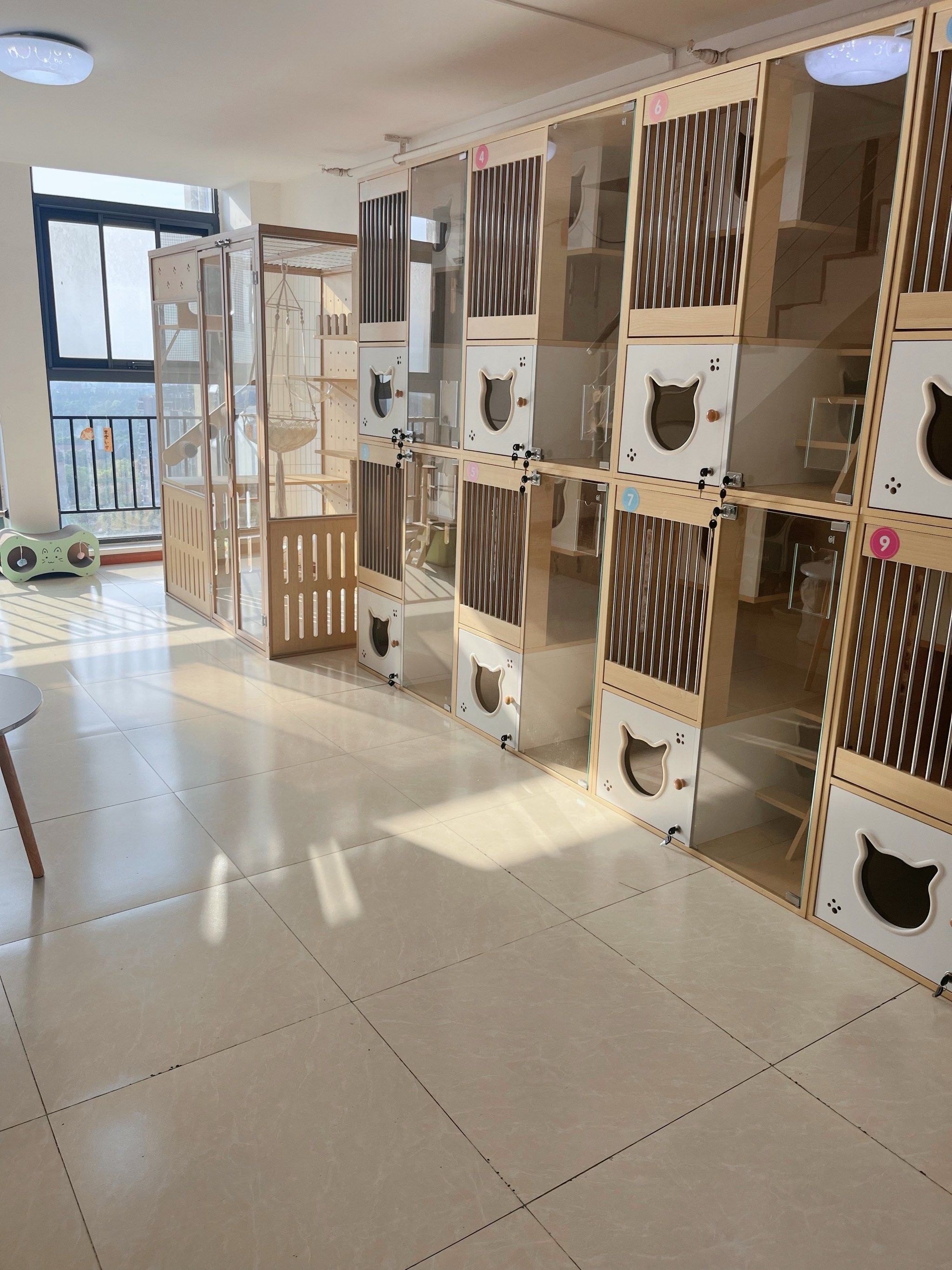 喵喵港湾猫咪寄养酒店