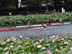 -荔湾湖公园