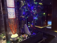 -江南足纪·影院足道·轻奢SPA(笋岗HALO广场店)