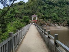 -梧桐山风景名胜区