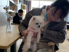 -汪说·狗咖(旺城大厦店)