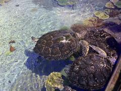 -福州罗源湾海洋世界旅游区