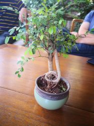 -颐和宾馆宴会厅