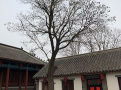 -牟氏庄园