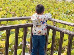 -羊亭河湿地公园