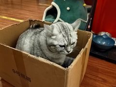 -H立方实景剧情密室(天河旗舰店)