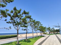 -烟台金沙滩海滨公园