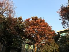 -绍兴鉴湖君澜大酒店