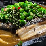探鱼
