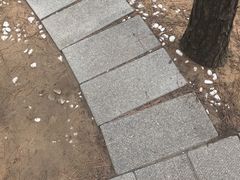 -林海公园