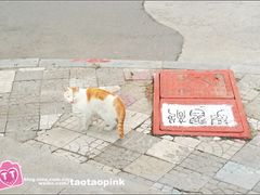 -哈尔滨师范大学(江南校区)
