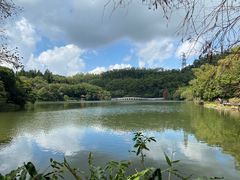 -深圳仙湖植物园