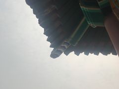 -府君山公园