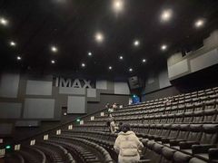 -万达影城(新乡万达广场IMAX店)