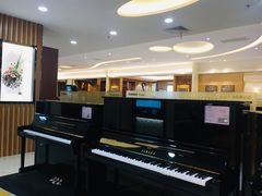 -知音艺术教育培训·钢琴培训·音乐培训(河西金鹰世界校区)