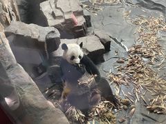 -济南野生动物世界