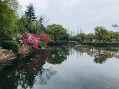 -无锡蠡湖国家湿地公园-蠡园