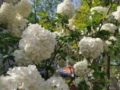 -大龙山(地铁站)