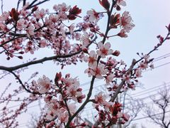 -绿堤公园