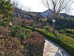 -夏津德百度假村温泉