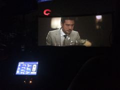 -枫花园汽车电影院(朝阳公园店)