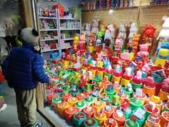 -廊坊固安福朋喜来登酒店