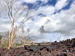 -夏威夷火山国家公园
