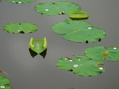 -竹西公园