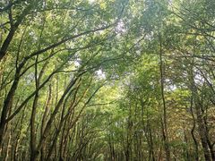 -同里国家湿地公园