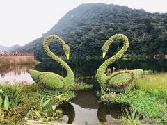 -广州市石门国家森林公园