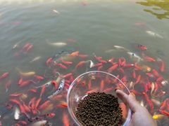 -绳金塔