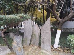 -四川大学(华西校区)