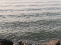-瑶湖郊野森林公园