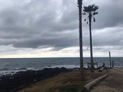 -Cafe Aewol Monsant