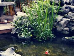 -道南書院·私房菜·早午茶·茶馆