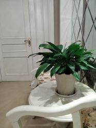 -哈尔滨瑞丽医疗美容医院