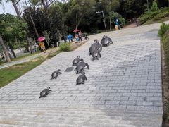 -广东惠东海龟国家级自然保护区