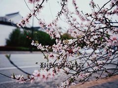 -木渎影视城