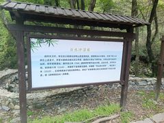 -白水冲瀑布