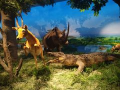 -国家自然博物馆